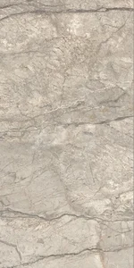 Керамогранит Caesar Aiav Anima Futura Amazing Silver 60x120 Liscio матовый
