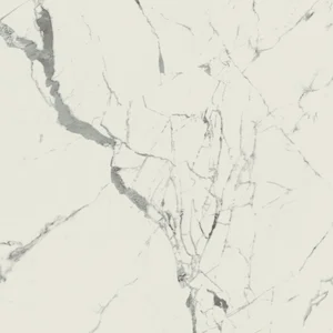 Керамогранит Caesar Anima Statuario Venato Matt. AEAC 120x120 матовый