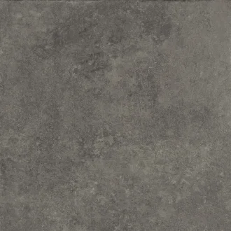 Step In Dark AFJ6