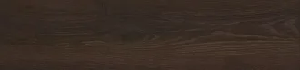 Canaima Encina