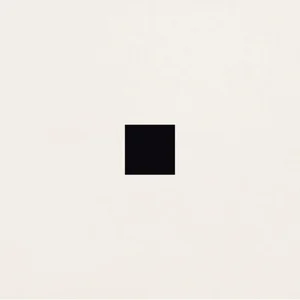 Декоративный элемент Petracers Carisma Quadro Su Bianco Thassos Sup. 60x60 полированный