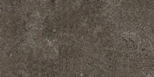 Керамогранит Casa Dolce Casa Sensi Brown Fossil 6mm 768625 60x120 матовый
