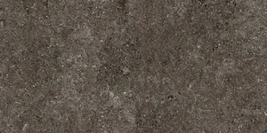 Керамогранит Casa Dolce Casa Sensi Brown Fossil R+Ptv 768354 40x80 противоскользящий