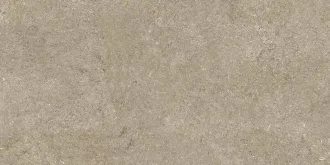 Sensi Taupe Fossil 6mm 768583