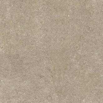 Sensi Taupe Fossil 768374