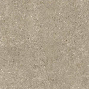 Керамогранит Casa Dolce Casa Sensi Taupe Fossil 768374 80x80 матовый