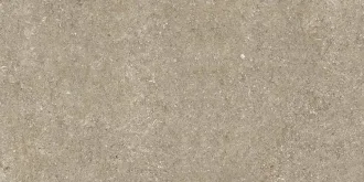 Sensi Taupe Fossil R+Ptv 768348
