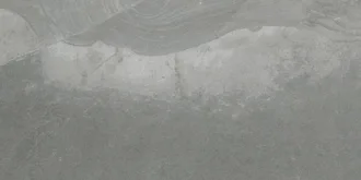 Bboulder Fossil 12790236