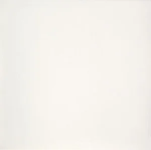 Керамогранит Casalgrande Padana Marmoker Canova Honed 60x60 матовый