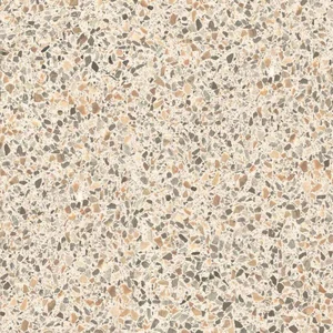 Керамогранит Casalgrande Padana Terrazzo Beige 60x60 матовый