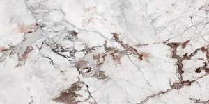 Керамогранит Cedit Policroma Breccia Glossy 764084 60x120 полированный