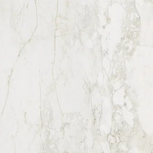Керамогранит Century Medley Prince Molato Rettificato 136289 120x120 матовый