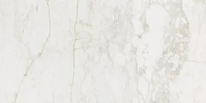Керамогранит Century Medley Prince Molato Rettificato 136547 120x278 матовый