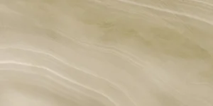 Плитка Ceracasa Absolute Vison Pulido 49,1x98,2 полированная