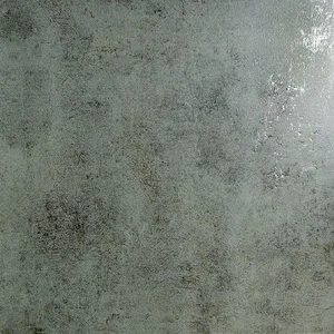 Керамогранит Ceracasa Evolution Gris 49,1x49,1 матовый