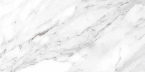 Керамогранит Ceracasa North Gloss White 49,1x98,2 глянцевый