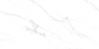 Calacatta Genius White Polished