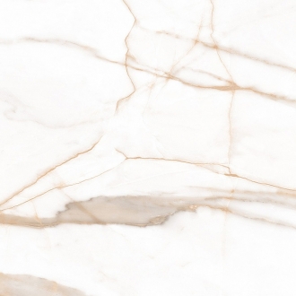 Calacatta Goddes Gold White Polished