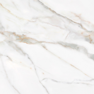 Century Adelaida White