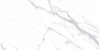 Statuario Justice Grey White Matte