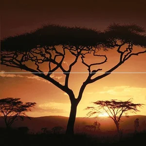 Ceramica Classic Africa Панно P2-2d210 (Из 2 Плиток) 40x40 матовое