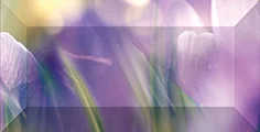 Бордюр Ceramica Classic Crocus Бордюр Рельефный Br1020d286-2 10x20 глянцевый