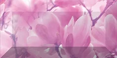 Magnolia Бордюр Рельефный Br1020d297-2