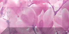 Бордюр Ceramica Classic Magnolia Бордюр Рельефный Br1020d297-2 10x20 глянцевый