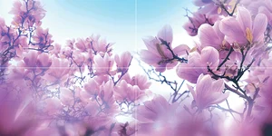 Ceramica Classic Magnolia Панно P4d297 40x80 глянцевое