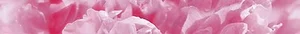 Бордюр Ceramica Classic Peony Бордюр B400d281 4,5x40 глянцевый