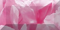 Бордюр Ceramica Classic Peony Бордюр Рельефный Br1020d281-1 10x20 глянцевый