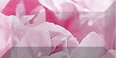 Бордюр Ceramica Classic Peony Бордюр Рельефный Br1020d281-2 10x20 глянцевый