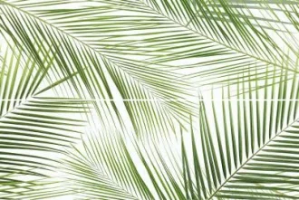 Brennero Tropic (2)