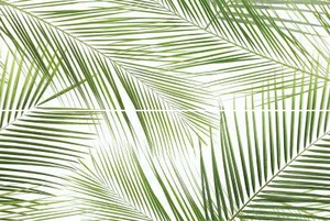 Панно Ceramika Konskie Brennero Tropic (2) 50x75 глянцевое