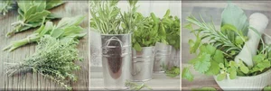 Декоративный элемент Ceramika Konskie Salerno Glass Kitchen 1 20x60 матовый