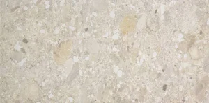 Керамогранит Cercom Ceppo Avorio Rett 60x120 матовый