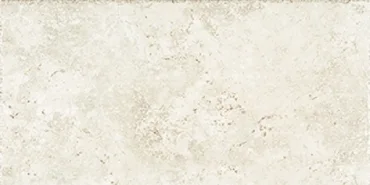 Керамогранит Cerdomus Pietra D&#039;Assisi Bianco 31517 20x40 матовый