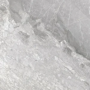 Керамогранит Cerdomus Supreme Silver Lev Rett 75415 60x60 полированный