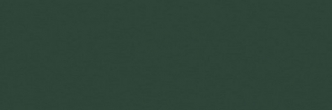 Керамогранит Cerim Crayons Moss Nat 767747 40x120 натуральный