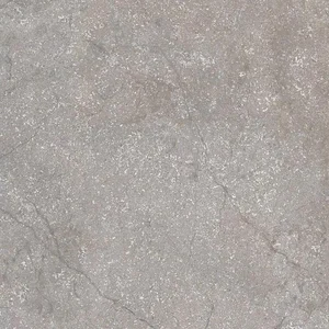 Керамогранит Cerim Stone Life Haze 778704 60x60 матовый