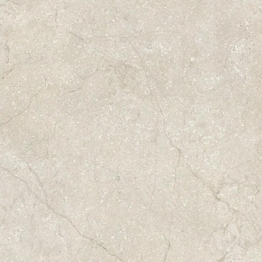 Керамогранит Cerim Stone Life Shell 778698 60x60 матовый