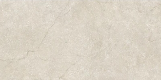 Stone Life Shell 778701