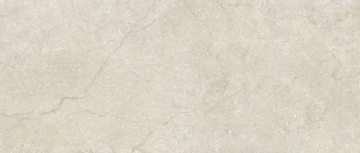 Stone Life Shell 778707