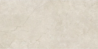 Stone Life Shell 778710