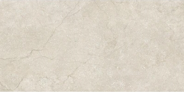 Керамогранит Cerim Stone Life Shell 778710 120x240 матовый