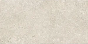 Керамогранит Cerim Stone Life Shell 779270 60x120 матовый