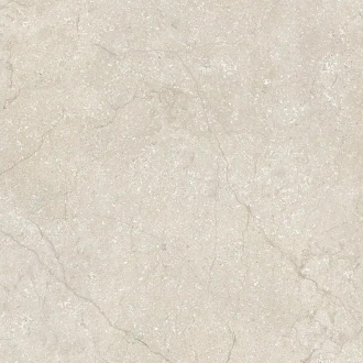 Stone Life Shell Matte Ret 782616