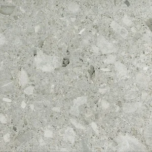 Керамогранит Cerim Timeless Ceppo Di Gre Luc 744875 60x60 полированный