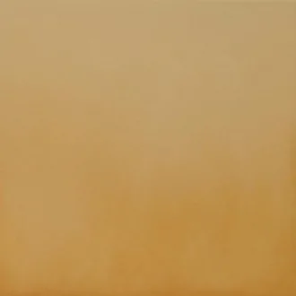 Gobi 5272