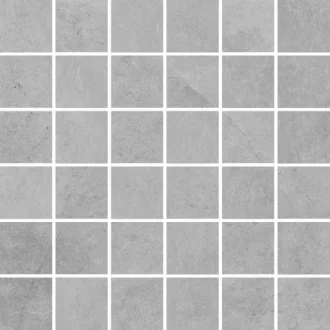 Tacoma Mosaic White